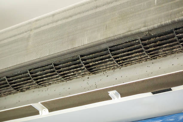Best Best Air Duct Cleaning Company  in Mazon, IL
